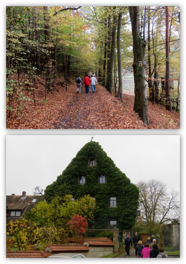 Herbstwanderung_2015_01