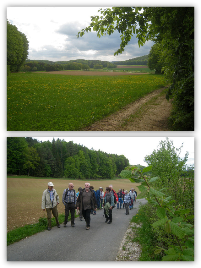 Wanderung_Mai 2015-01